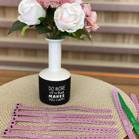 Allezzi Mamaia Nord Appartement *